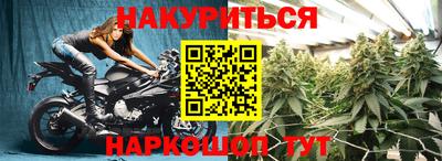 сатива Кунгур