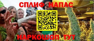 сатива Кунгур