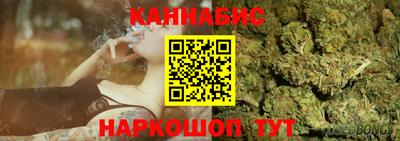 сатива Кунгур