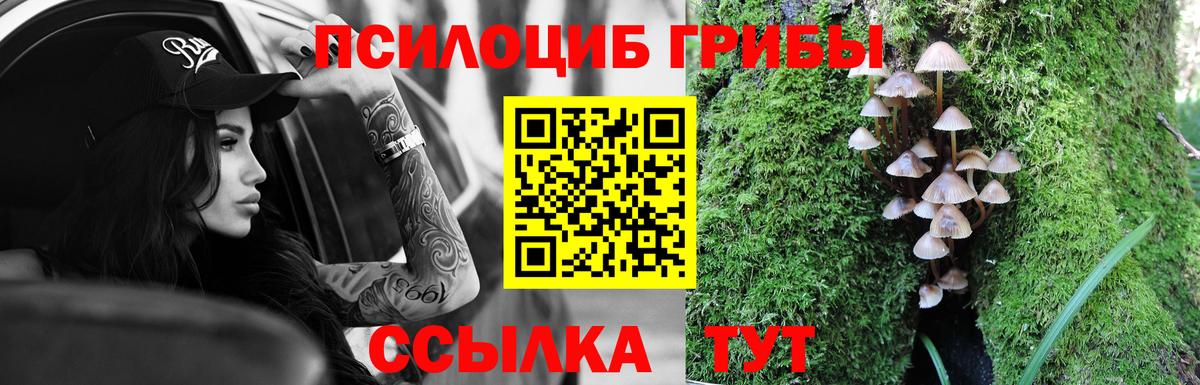 Кемерово  Галлюциногенные грибы GOLDEN TEACHER  Вход с VPN 