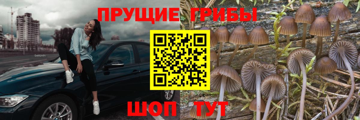 Галлюциногенные грибы мицелий Кемерово